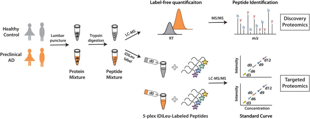 Graphical abstract for Zhong et al (2019) depicting the difference between healthy control and preclinical Alzheimer's Disease biomarkers in label free and labeled quantification and peptide identification. 